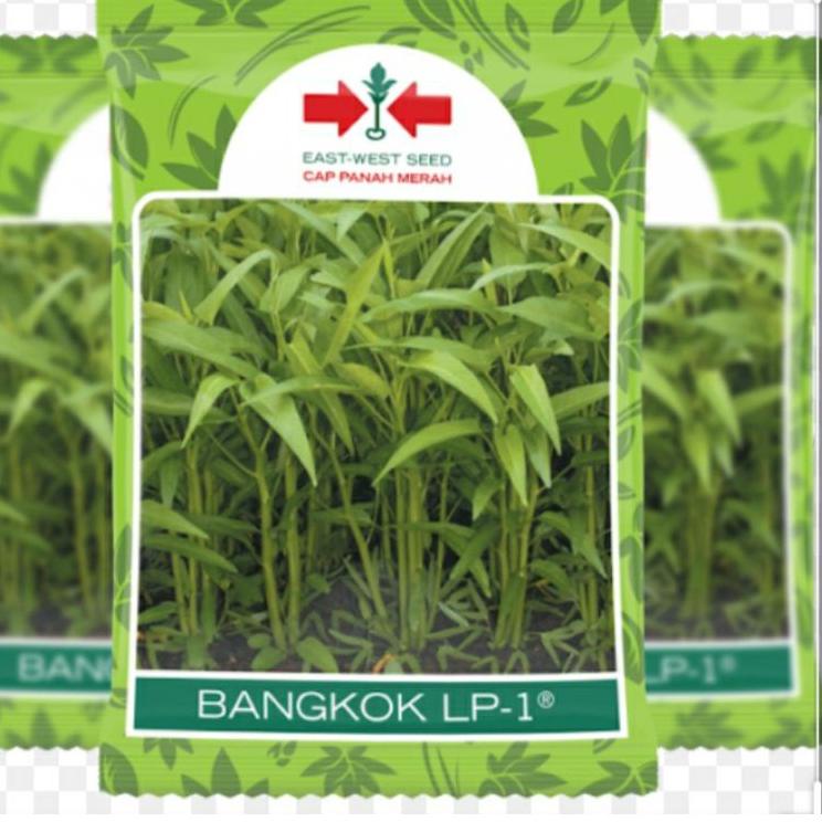 ✳ KANGKUNG BANGKOK 1KG ( KANGKUNG BANGKOK LP-1 1KG ) ☛