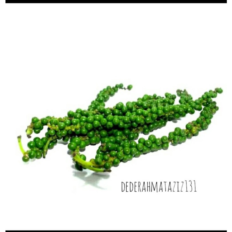 

lada hijau segar 100gr
