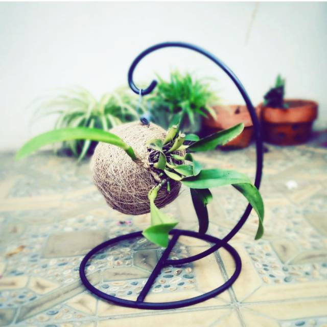 STANDING KOKEDAMA - GANTUNGAN KOKEDAMA - CANTELAN KOKEDAMA