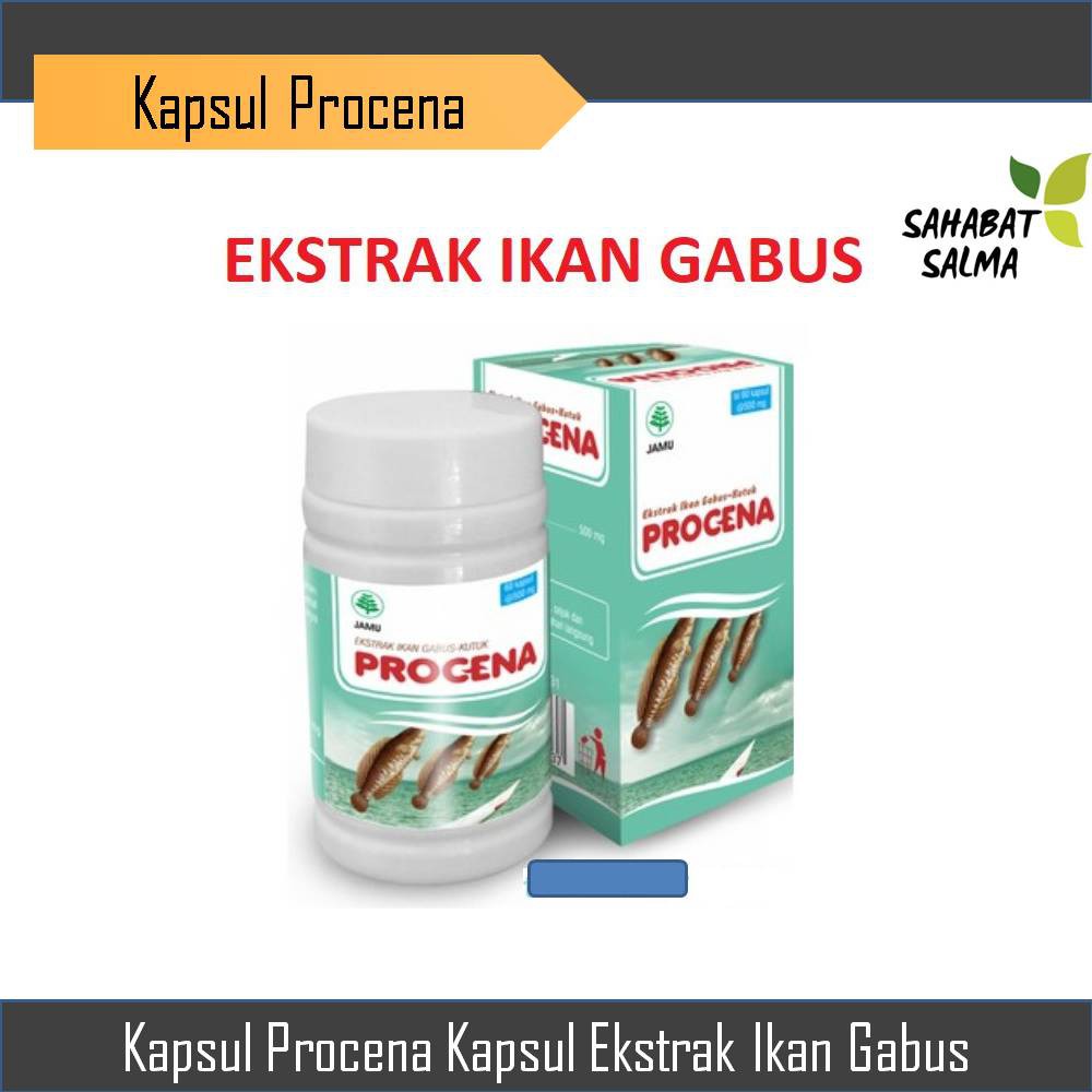 kapsul procena - Procena Ekstrak Ikan Gabus - obat penyembuh luka