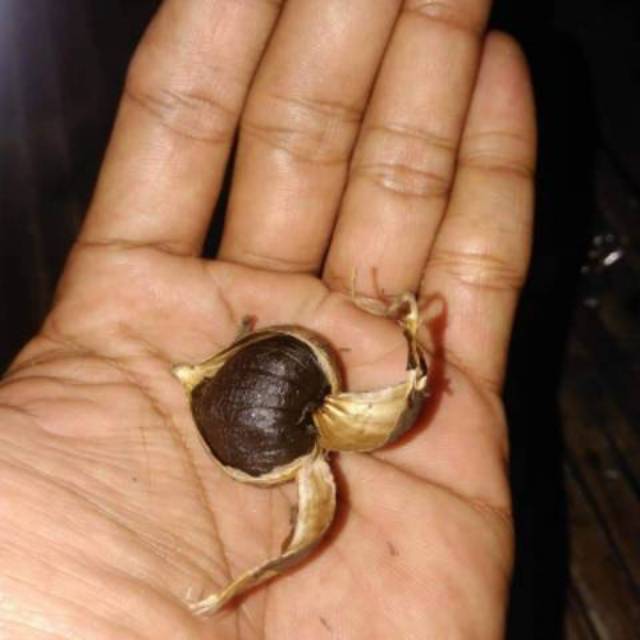 

Bawang Lanang Hitam (B-Tech Blackgarlic )