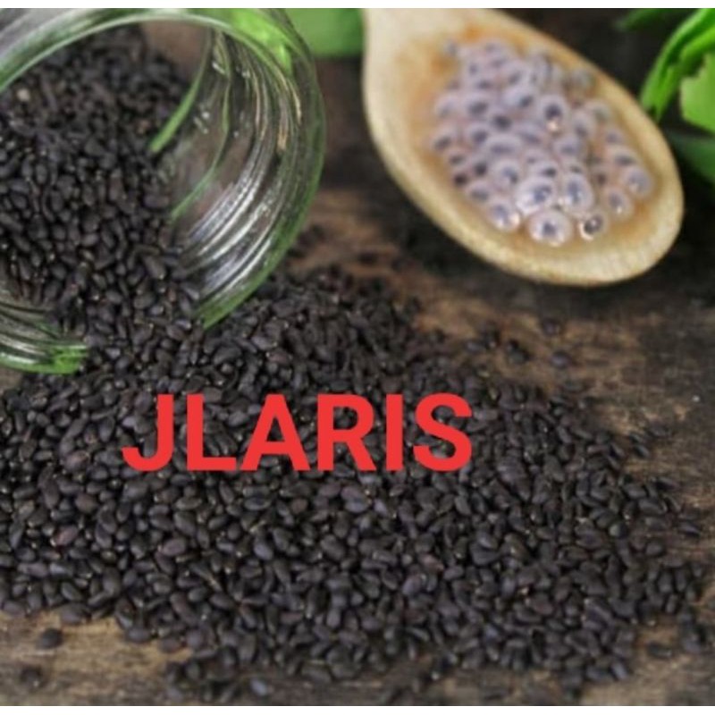 

biji selasih kualitas besar bagus 100g