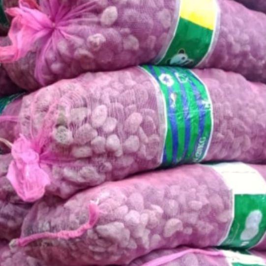 Media Filter Batu Gombong 20kg Filter Kolam Mirip Batu Apung