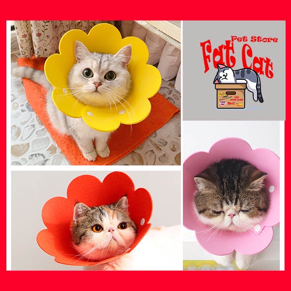 Corong Penutup - Collar Pelindung Leher Kucing anjing kelinci lucu