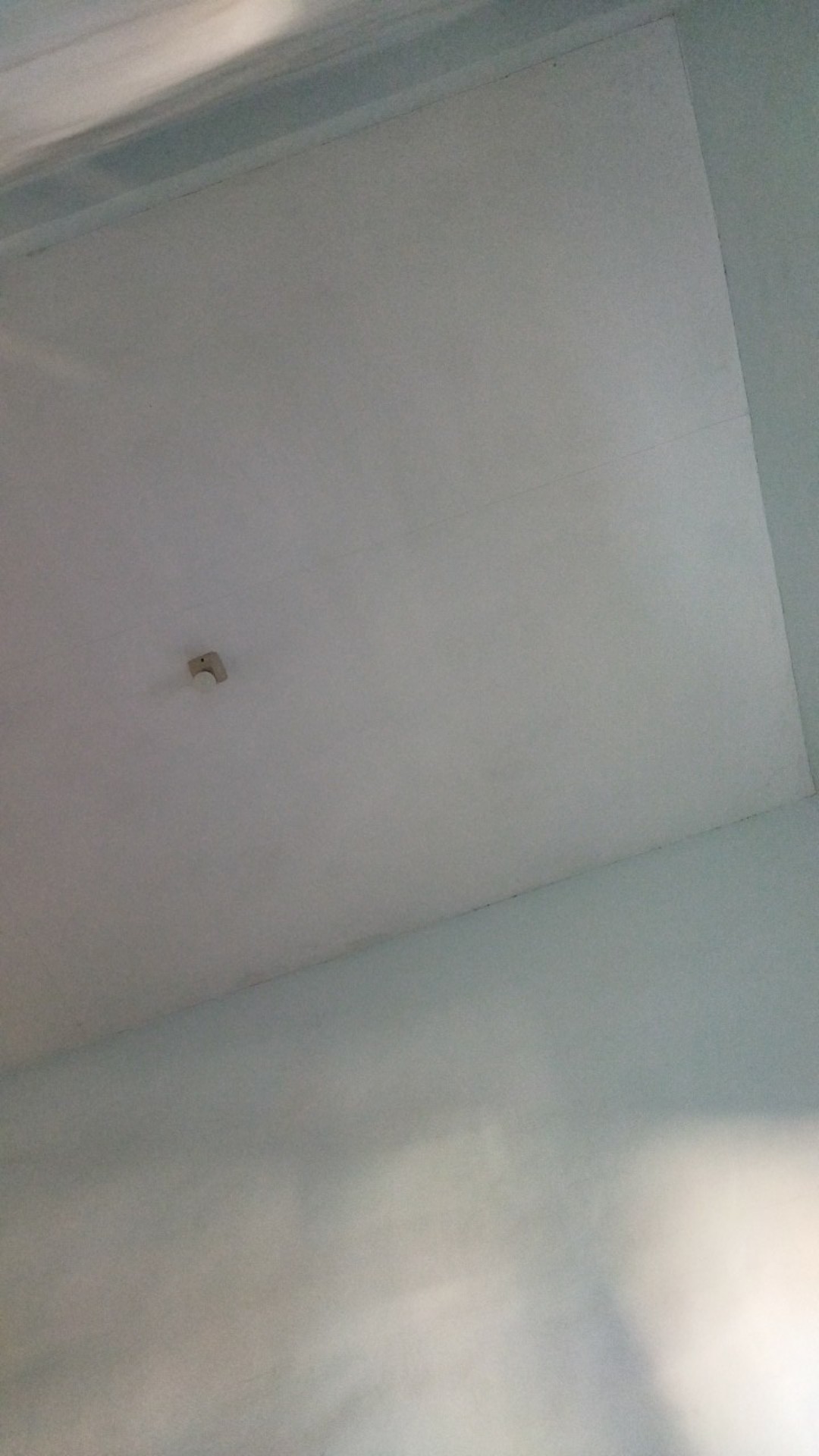 Tissue Nice 2ply 900gr - Susudot