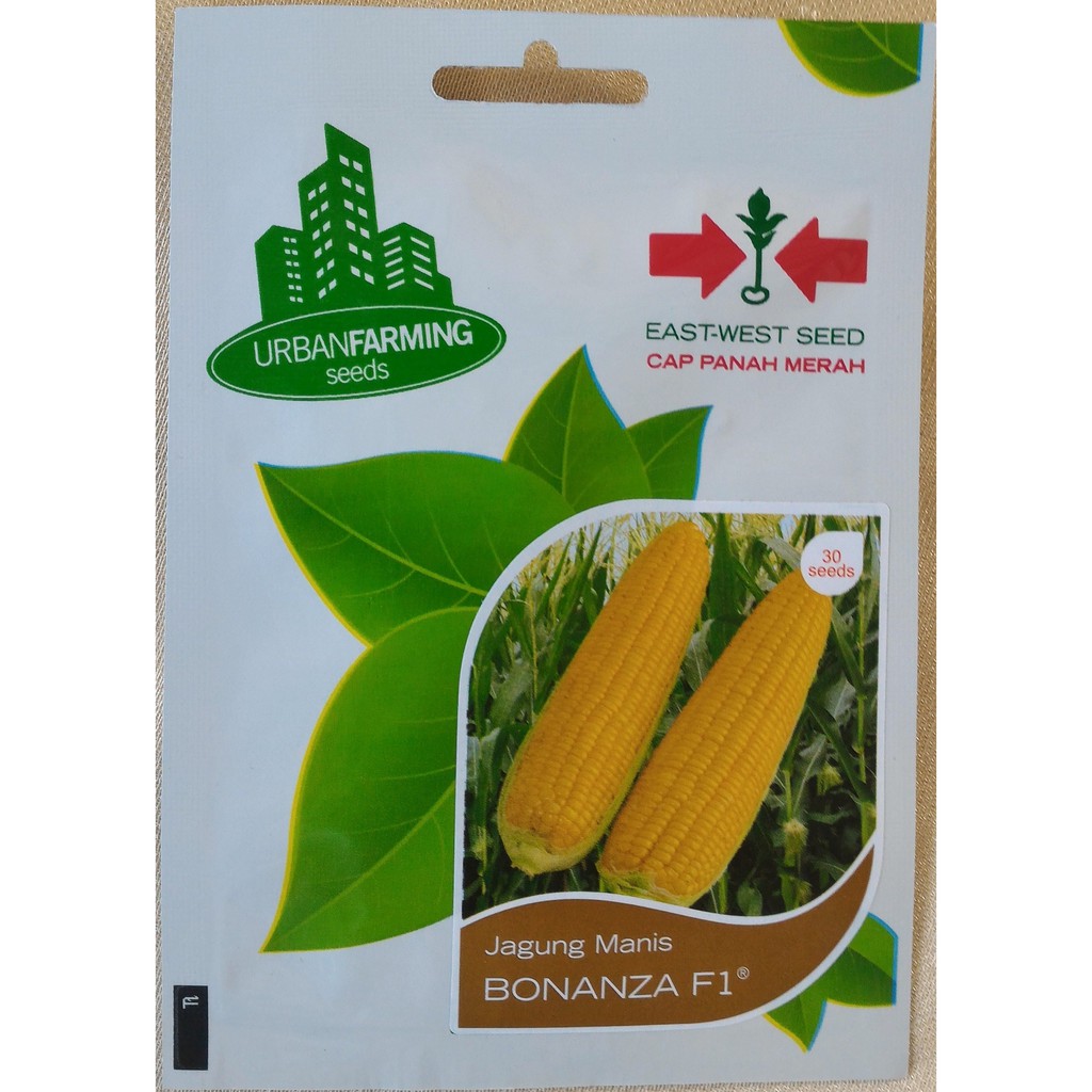 Benih Jagung  Manis  BONANZA  F1  Shopee Indonesia