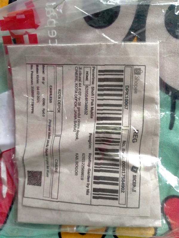 Cb16/5 - Benih Biji Bibit Unggul Kemasan Seribu Ecer Repack Murah Cabe Rawit Putih Sret Super Pedas