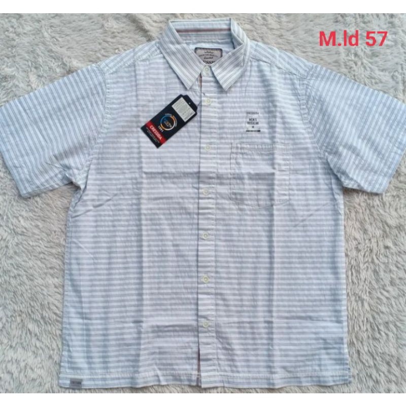 Kemeja Cressida Original