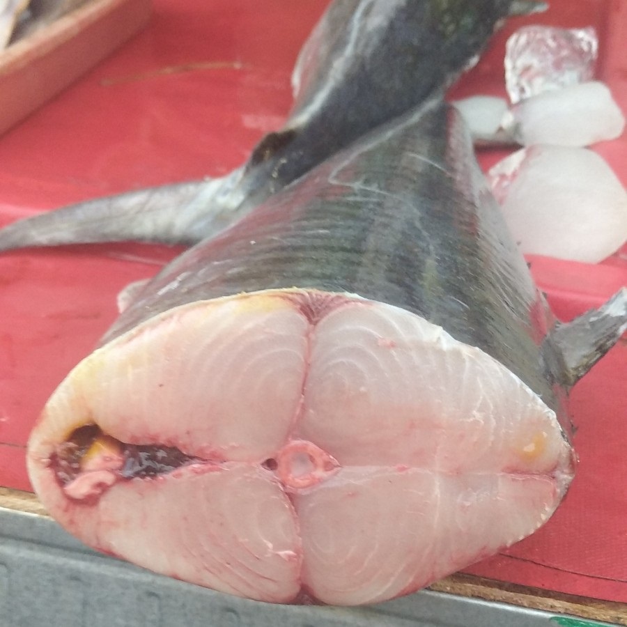 

Ikan Tengiri Besar / IkanTenggiri Besar Potongan 1kg Segar Fresh