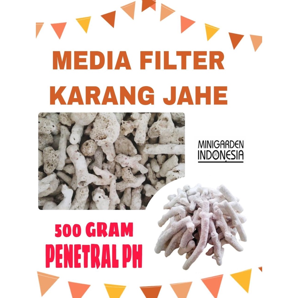 KARANG JAHE ECER 500 GRAM MEDIA FILTER batu penetral ph air aquarium kolam aquascape