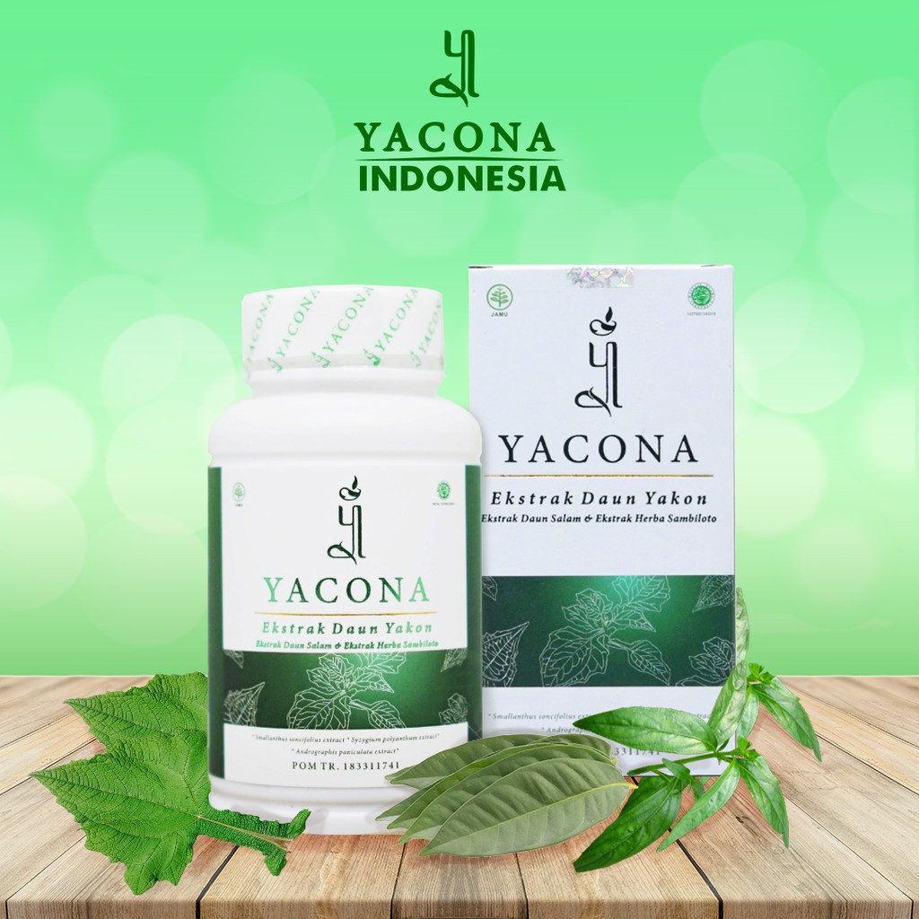 Yacona obat diabetes herbal Stabilkan Gula Darah 1 botol 120 kapsul