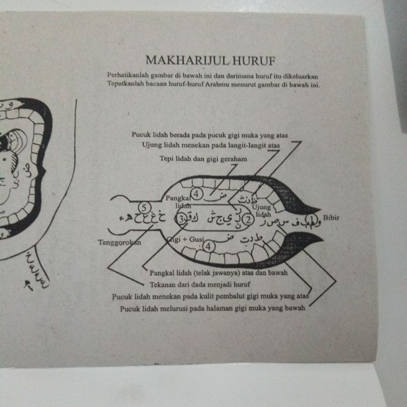 Belajar Praktis Ilmu Tajwid Shopee Indonesia