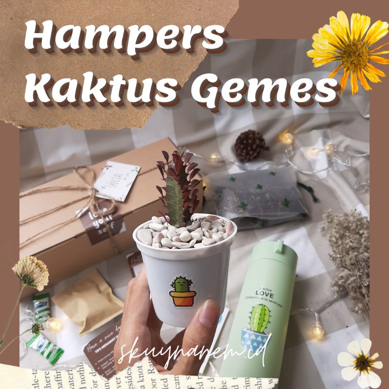 [GEMES +TUMBLR] Giftbox Hampers Planter Kit Kaktus Sukulen Sovenir Kado