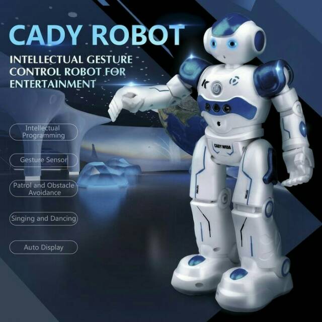cady wida robot programming