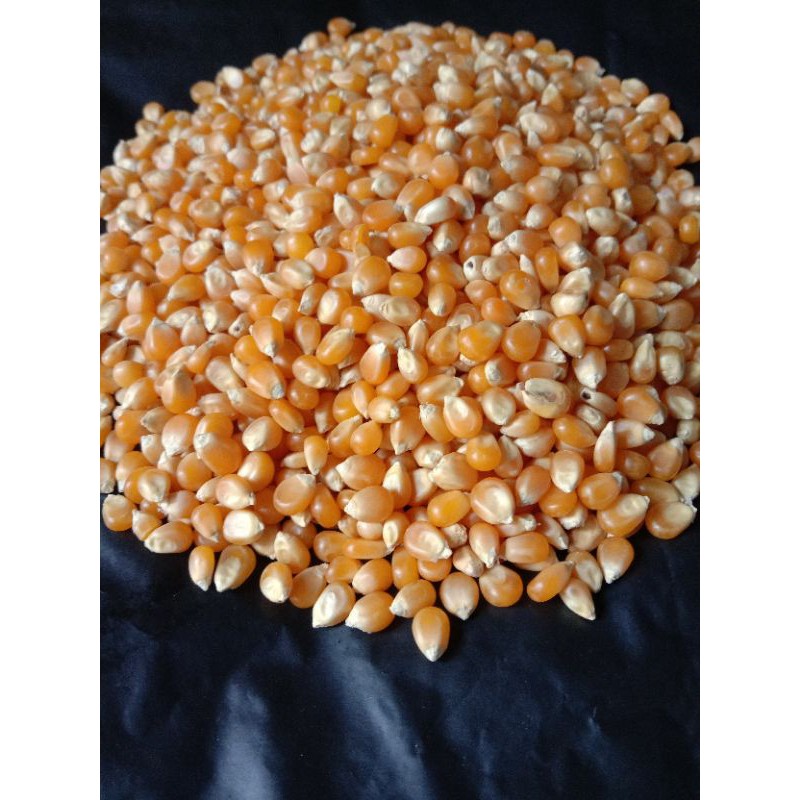 

biji jagung popcorn 200gram