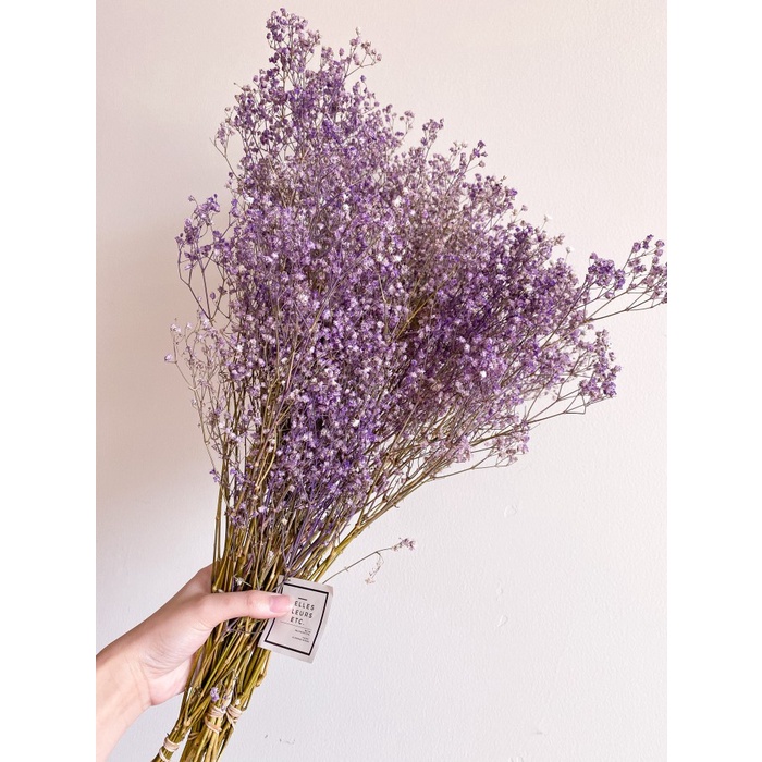 Dried Babybreath in Purple/ bunga baby breath kering ungu
