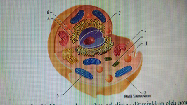 Big Sale Couple Seragam