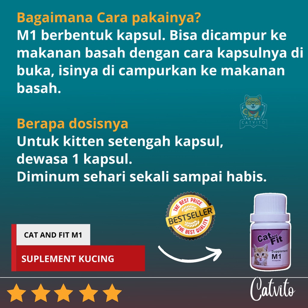 OBAT KUCING FLU PILEK MATA BERAIR DAN DIARE CAT AND FIT M1