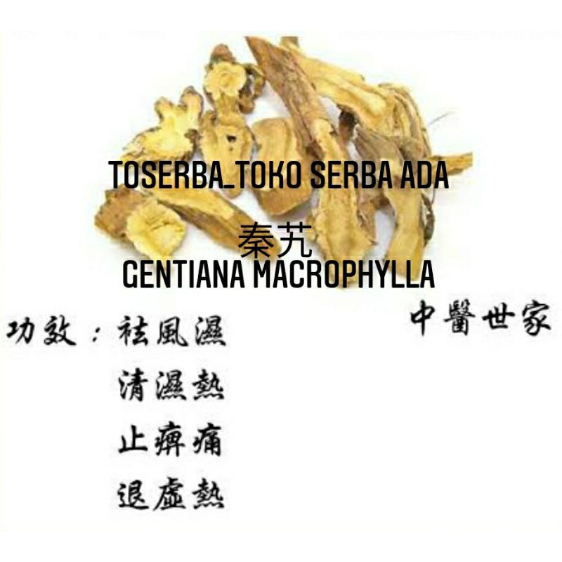 

100gr Herbal Qin Jiao 秦艽 Premium Grade Largeleaf Gentian Root / Largeleaf Gentian / Gentiana Macrophylla / Gentianae Macrophyllae Radix