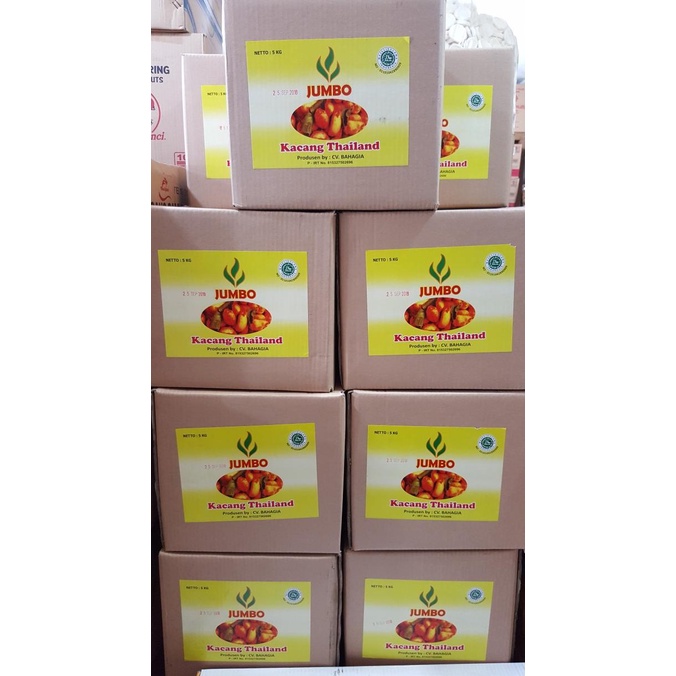 

5KG KACANG THAILAND PEDAS JUMBO GROSIR MURAH 1 DUS