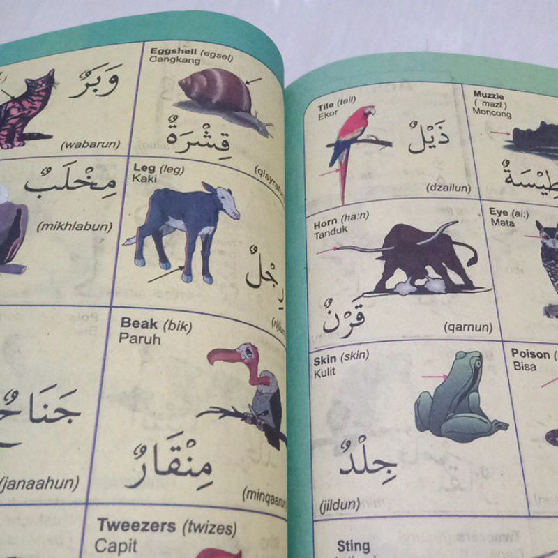 Murah..!! Buku Kamus 3 Bahasa Arab Indonesia Inggris