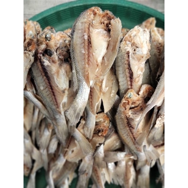 

Ikanasinkepalabatubelah