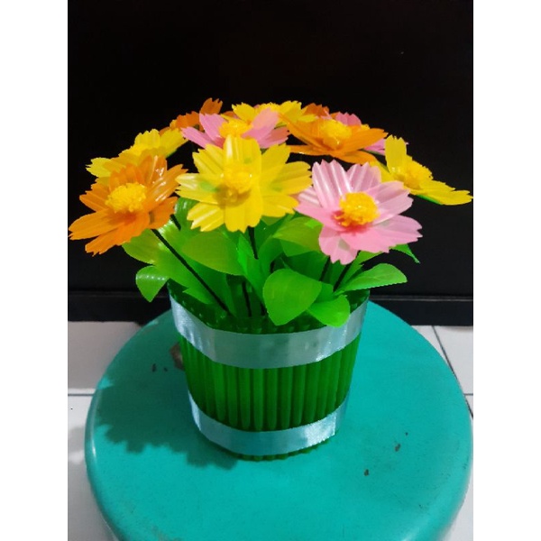 Bunga Sedotan Kenikir Pot botol bekas