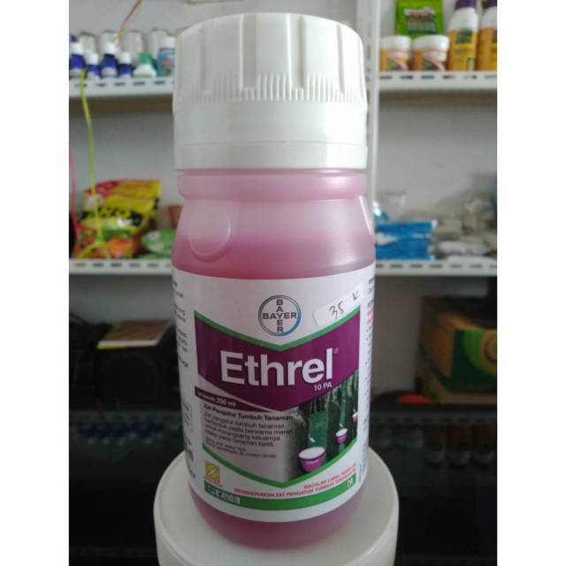 Ethrel 10 pa pemacu getah karet