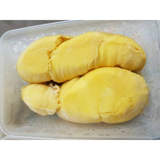 

Durian monthong sulawesi