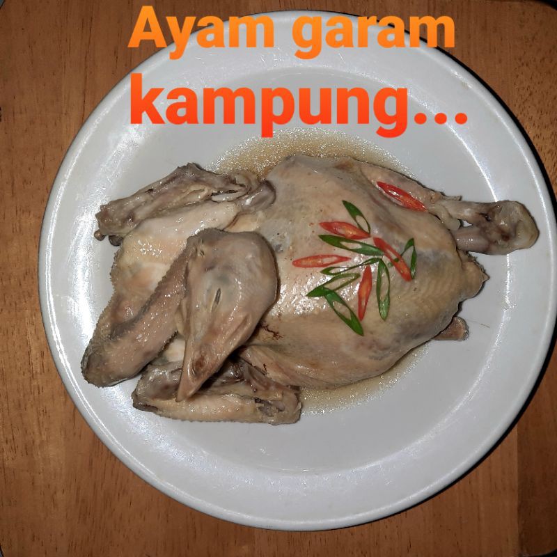 

ayam garam kampung