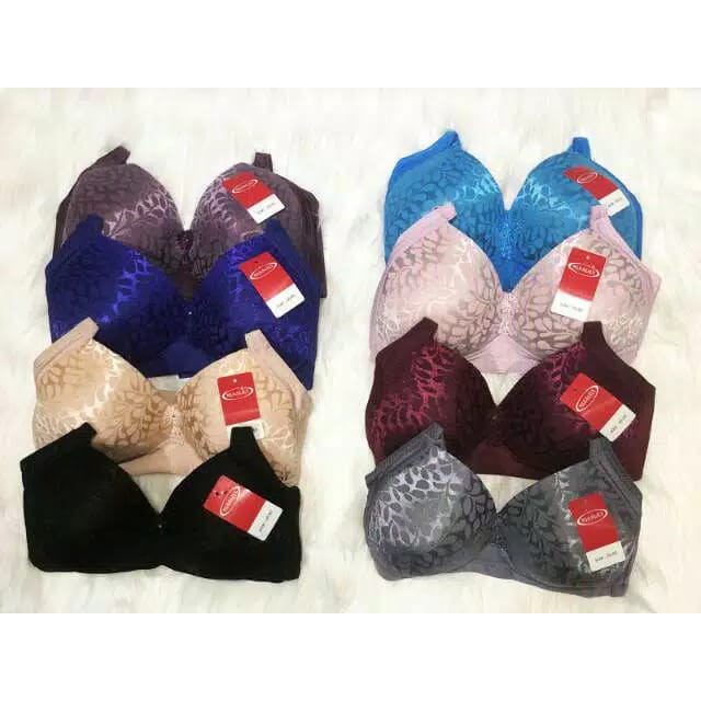 ORI Bra Besar Jumbo Misslily  Tanpa Kawat Kait 3 BH MissLily Art 666 Cup C Jumbo