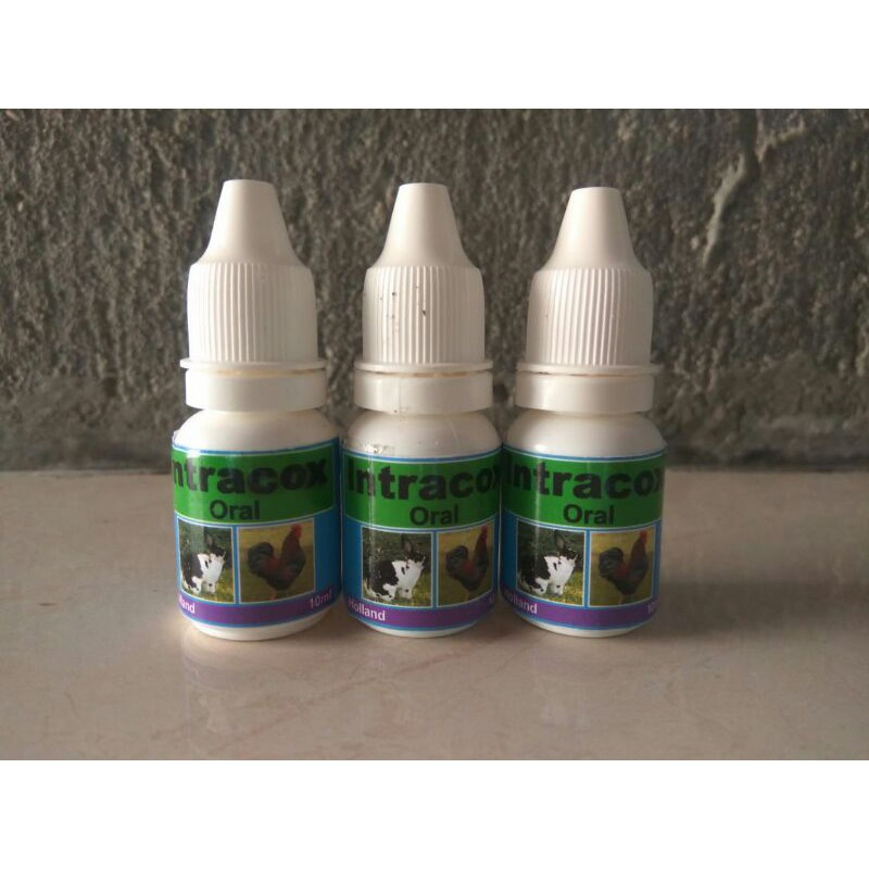 Intracox Oral Obat Koksi untuk Hewan 10 ml