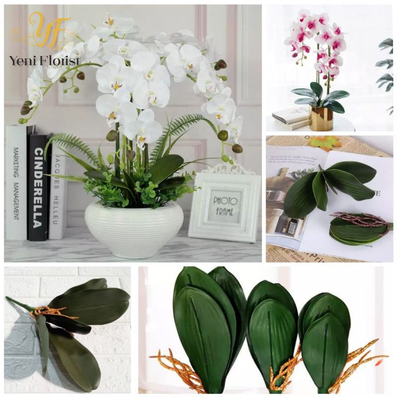 daun anggrek latex