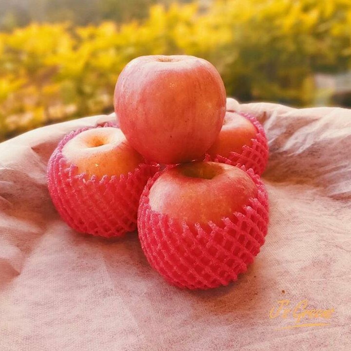 

Apel Fuji 1kg