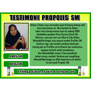 Cara Mengobati Telinga Bernanah Dengan Propolis Sembuh Cepat