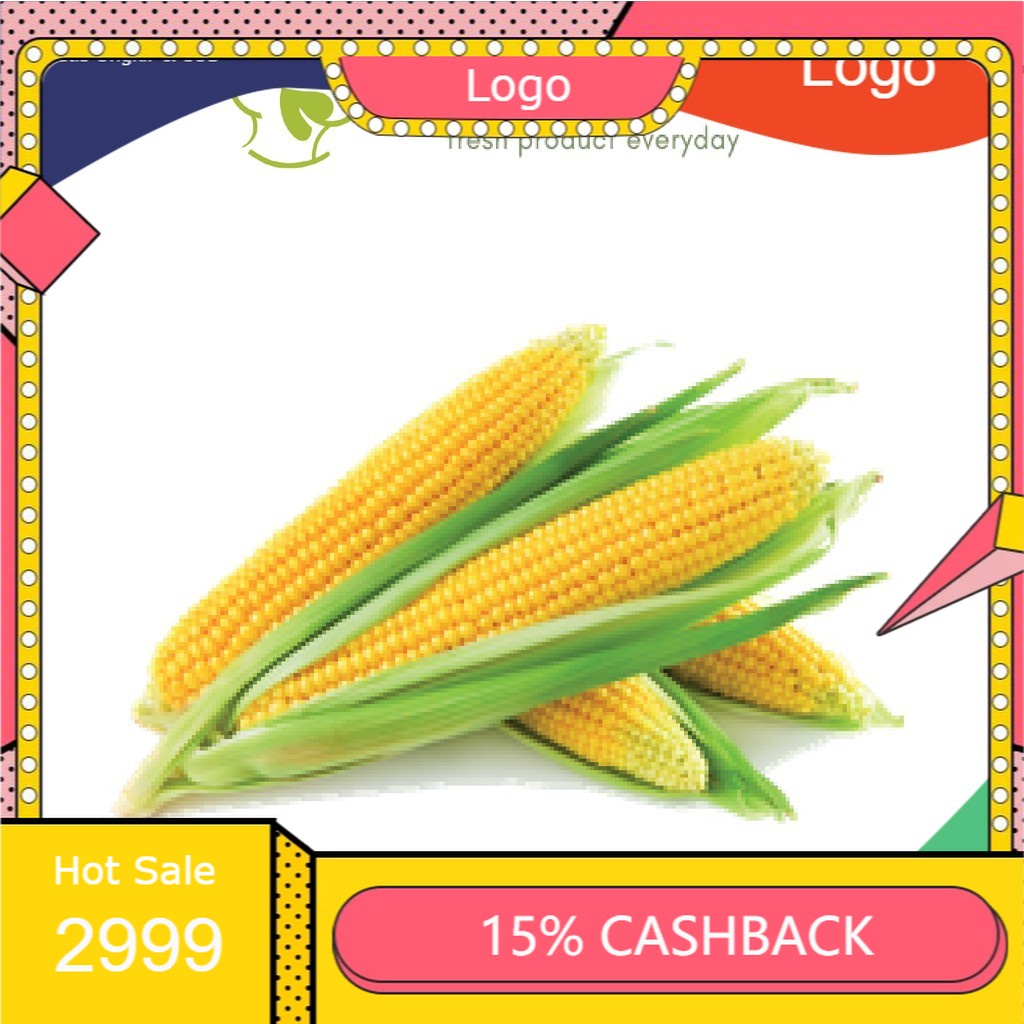 

Jagung Manis 2bj Surabaya