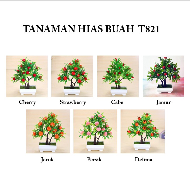OSM - T821 Tanaman Hias Buah / Tanaman Bunga Plastik / Bunga Dekorasi Rumah / Tanaman Ornamen-1