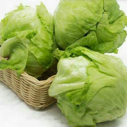 

Letus/ Lettuce Head /pcs (250gr)