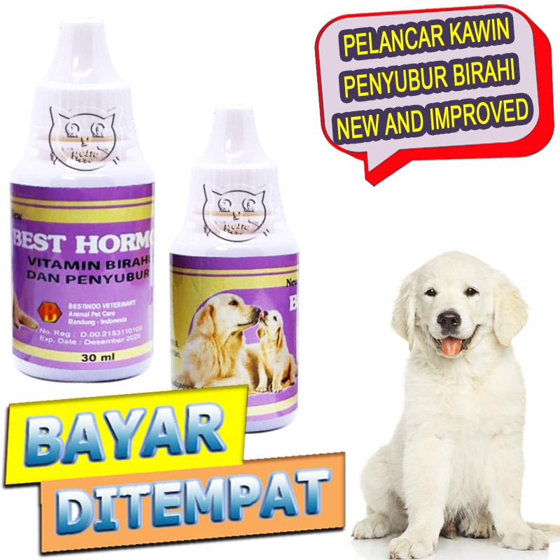 Best Hormo Vitamin Kawin Anjing Obat Penyubur Birahi