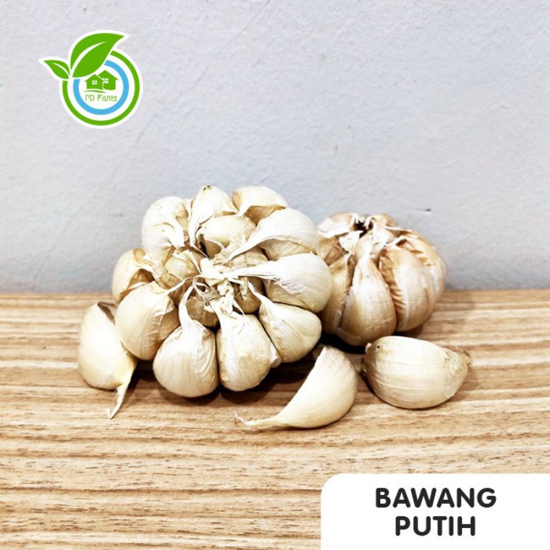 

Bawang Putih (100gram)