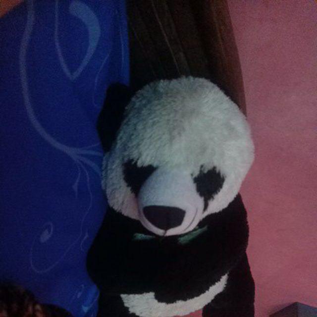 Botol Minum/ My Bottle Persegi Murah