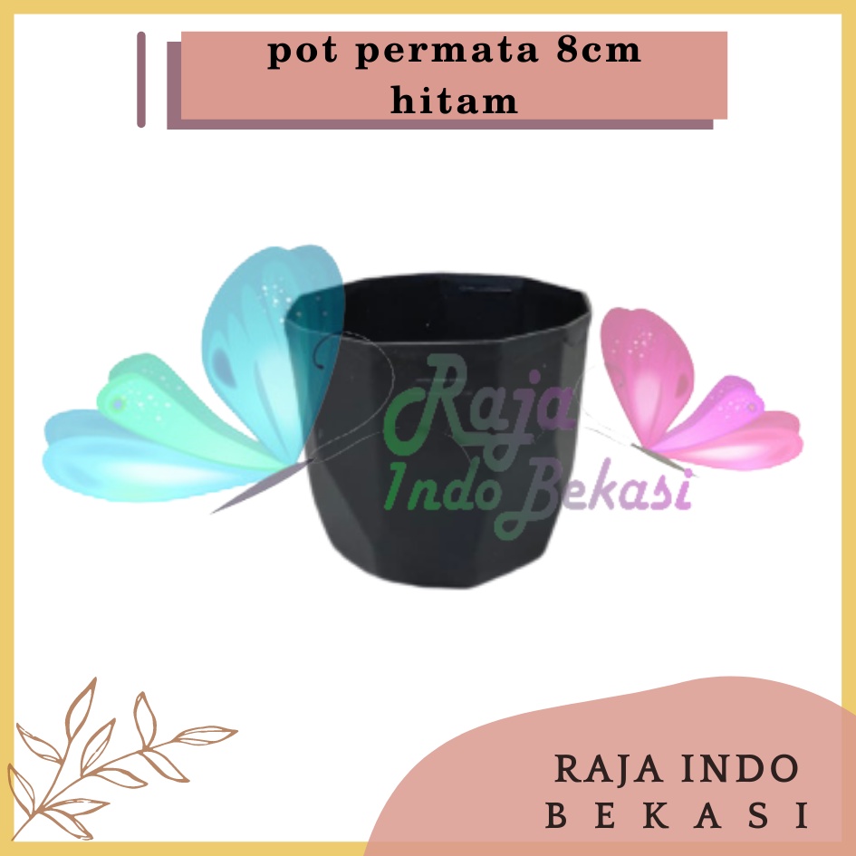 Pot Permata 8CM Hitam By Garden Of Love Pot 8 Cm Putih Pot Plastik Kaktus Sukulen Mini Lucu Murah