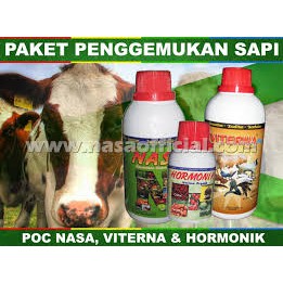 PAKET PENGGEMUKAN SAPI , VITERNA POC NASA HORMONIK nembuat sapi menjadi cepat gemuk ramah lingkungan