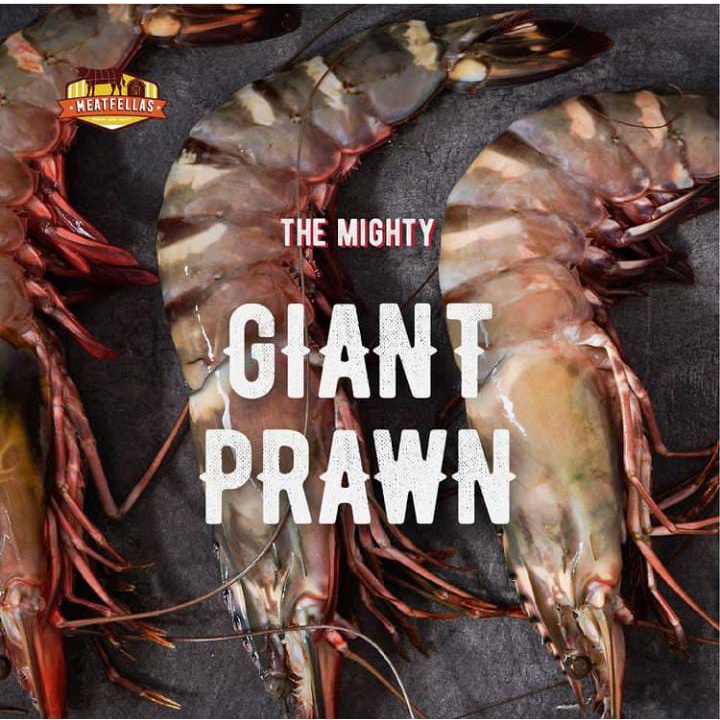 

Giant Black Tiger Prawn