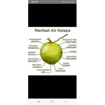 

Kelapa Ijo Hijau Untuk Obat