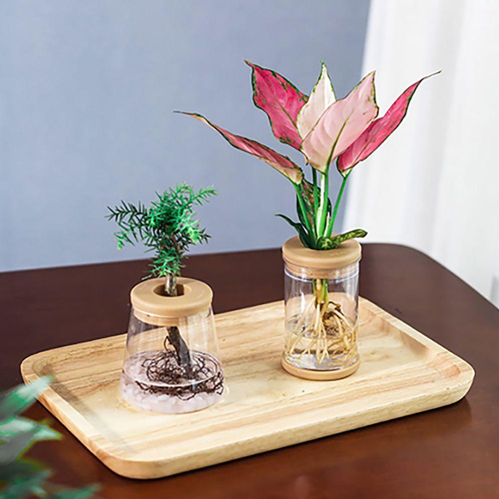 Rebuy Home Decor 1pcs Kaca Imitasi Bulat Bahan Resin Untuk Perlengkapan Taman Tanaman Air Indoor/Outdoor
