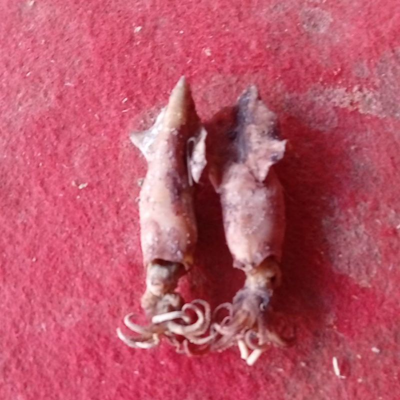 

cumi asin 250 gram