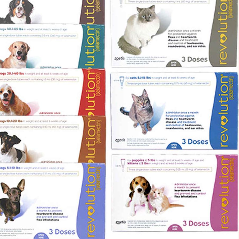 Jual REVOLUTION OBAT KUTU / REVOLUTION CAT / REVOLUTION DOG