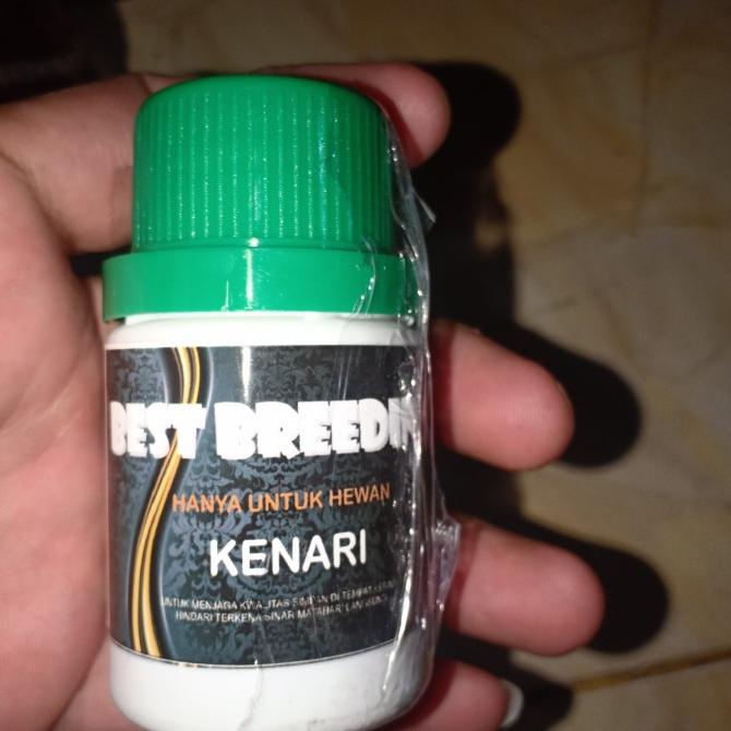 best breeding kenari 40ml
