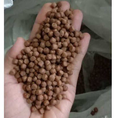pakan lele, mujaher, gurami, patin pellet ikan